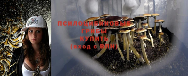 наркотики Медвежьегорск
