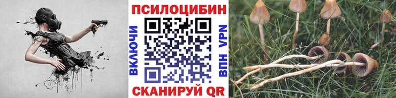 Галлюциногенные грибы ЛСД  Новое Девяткино 