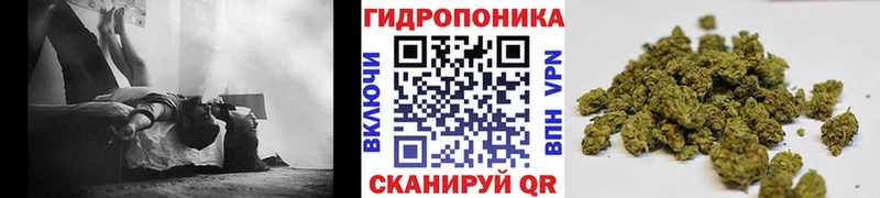 Канабис Amnesia Новое Девяткино