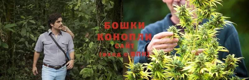 Бошки марихуана LSD WEED  маркетплейс состав  mega зеркало  Новое Девяткино  наркошоп 